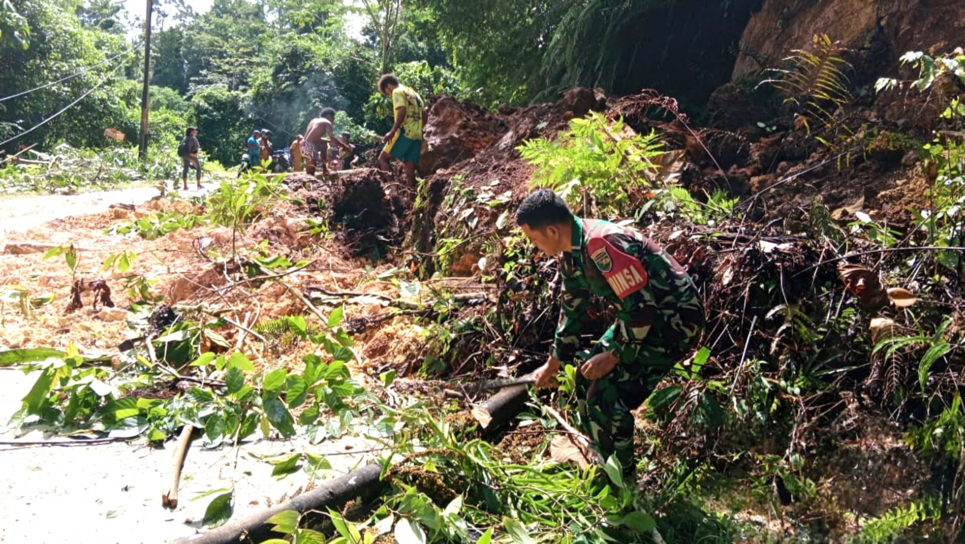 Sigap dan Tanggap, Babinsa Bersama Warga Bersihkan Pohon Tumbang Tutupi Akses Jalan