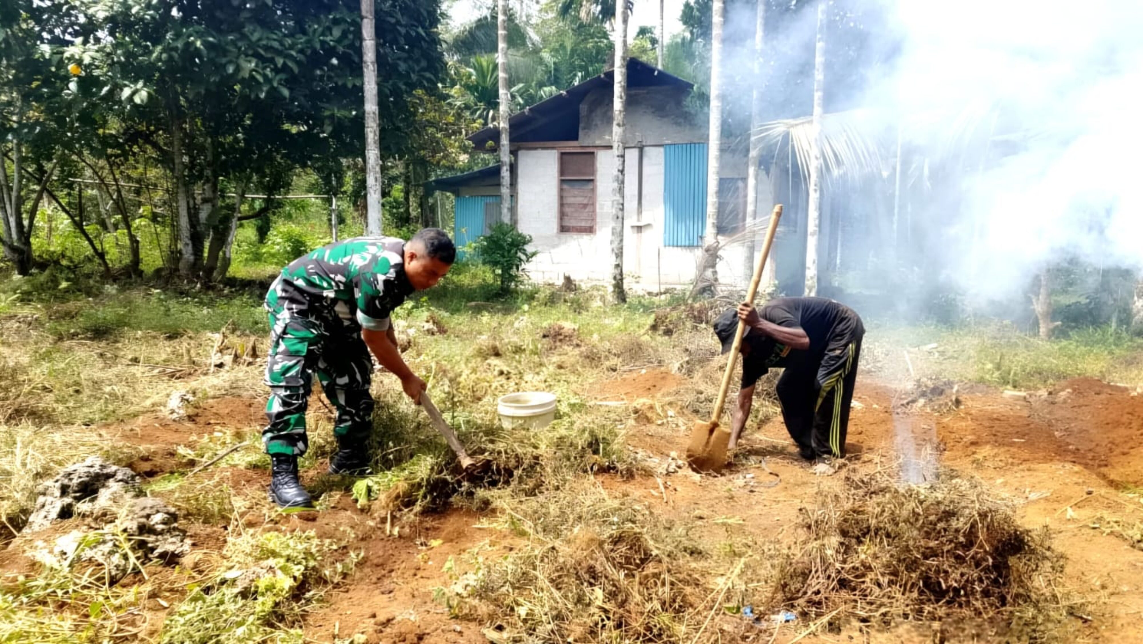 Peduli Petani, Babinsa Posramil Biak Timur Turun Tangan Bersihkan Lahan Pertanian