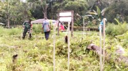 Semangat Kebersamaan, Babinsa Biak Utara Bersama Warga Bersihkan Lokasi Pembangunan Koperasi