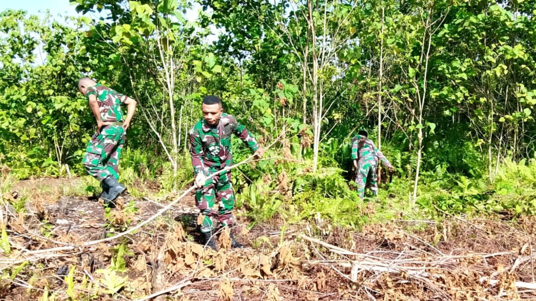 Koramil Biak Barat Optimalkan Lahan Kosong Jadi Kebun Produktif Dukung Hanpangan