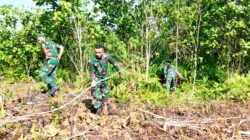 Koramil Biak Barat Optimalkan Lahan Kosong Jadi Kebun Produktif Dukung Hanpangan