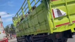 Diduga Pakai Dokumen Palsu, Truk Muat 25 Ekor Sapi Dicegat di Pelabuhan Gilimanuk!