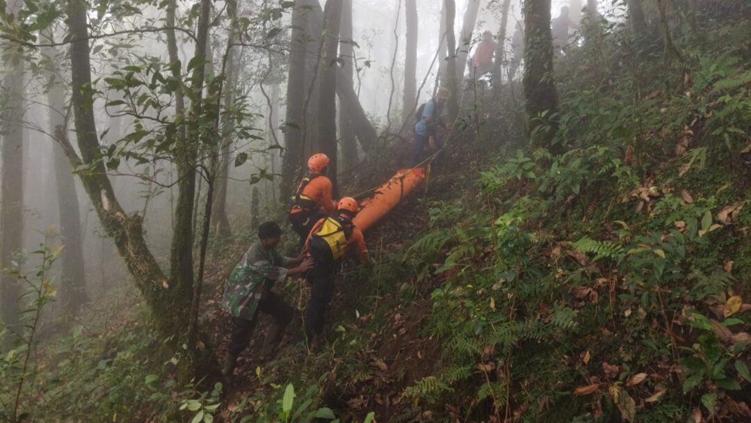 Sempat Hilang, Kakek 84 Tahun Ditemukan Tewas di Jurang Gunung Batukaru