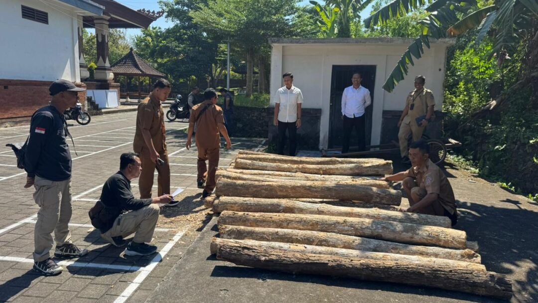 Tebang Kayu Jati di Hutan Klatakan, Pria di Jembrana Dibekuk Polisi