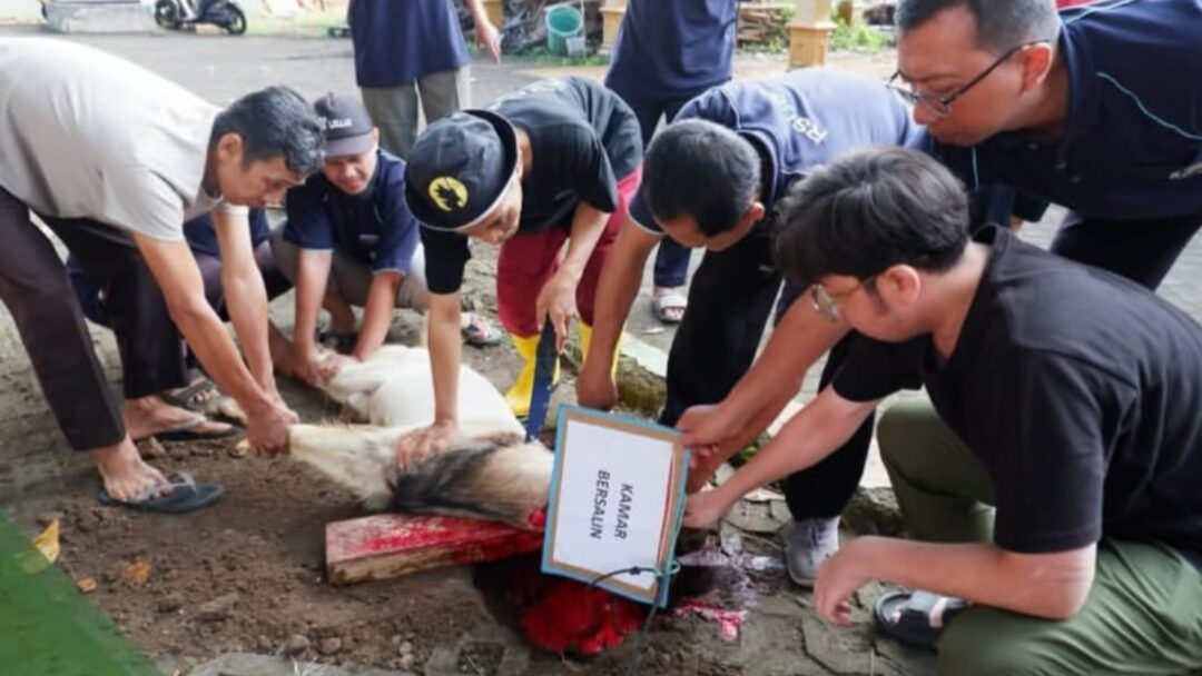Idul Adha Di RSUD Sayidiman Magetan, Spirit Berbagi Hadir Hingga Ruang Perawatan Menulis