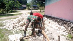 Babinsa Biak Barat Bantu Rehabilitas Balai Desa