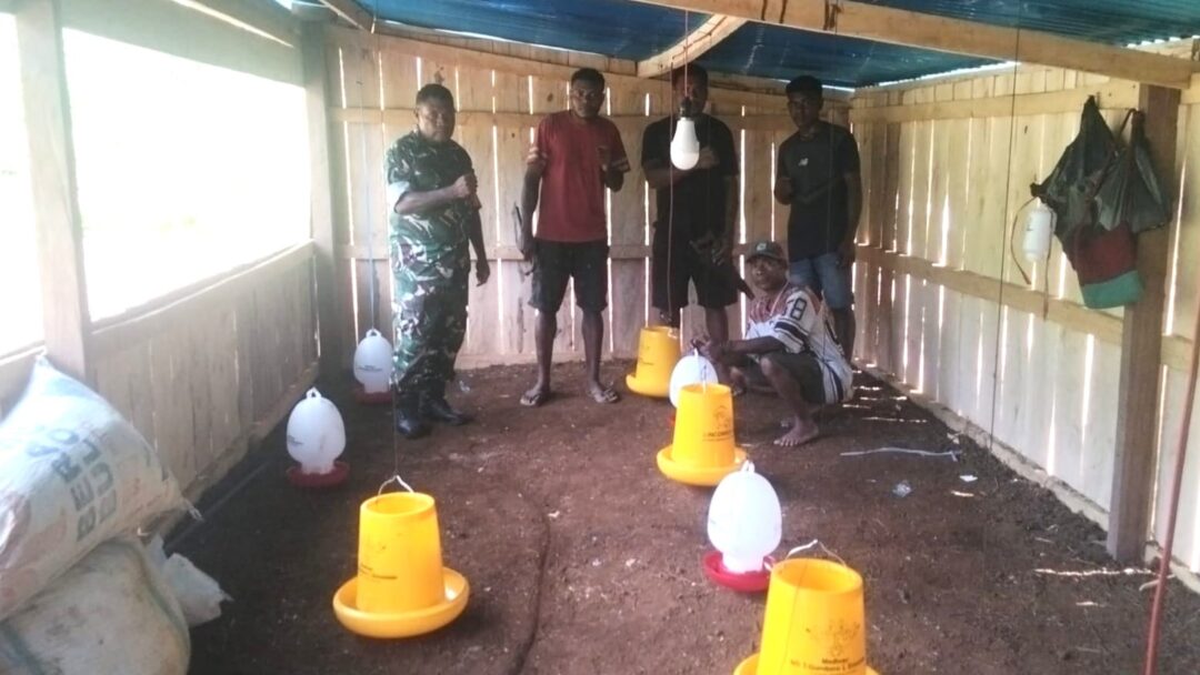 Babinsa Biak Utara Motivasi Warga Kembangkan Ayam 