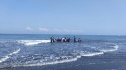Paus Raksasa Terdampar di Pantai Perancak, Warga Terkena Kibasan Ekor saat Evakuasi
