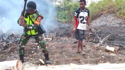Babinsa Biak Barat Bantu Warga Belah Pohon Palem untuk Lantai Pondok Kebun