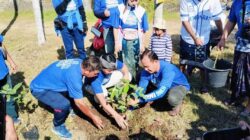 Sambut HUT ke-25, Demokrat Bali Gelar Aksi Bersih Pantai & Tanam Pohon di Jembrana