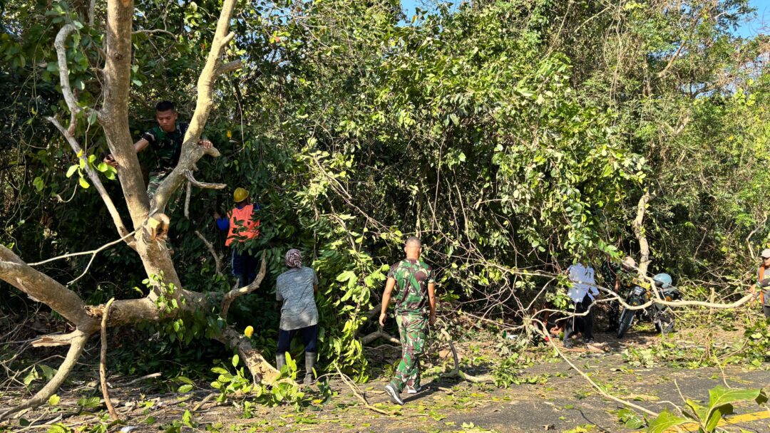 Pohon Tumbang Hambat Jalan Denpasar–Gilimanuk, Prajurit Yonif 928/BSY Turun Tangan