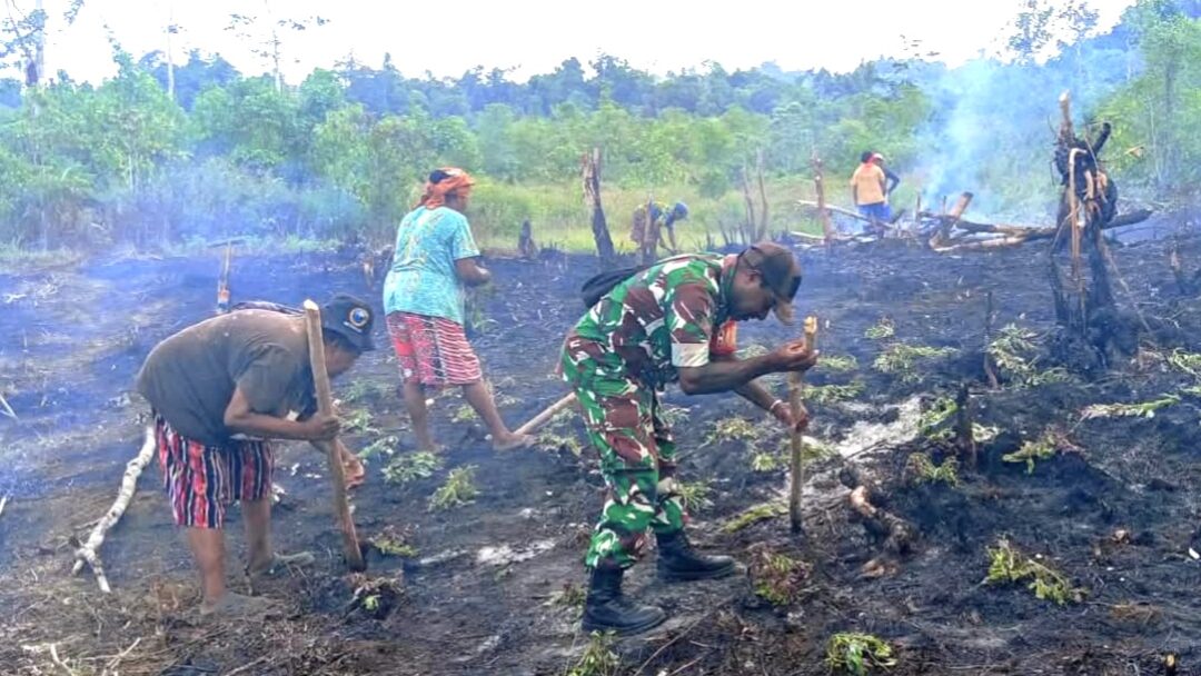 Babinsa Bantu Menanam Ubi Jalar di Kebun Warga
