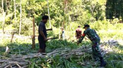 Babinsa Dampingi Warga Buka Lahan Pertanian