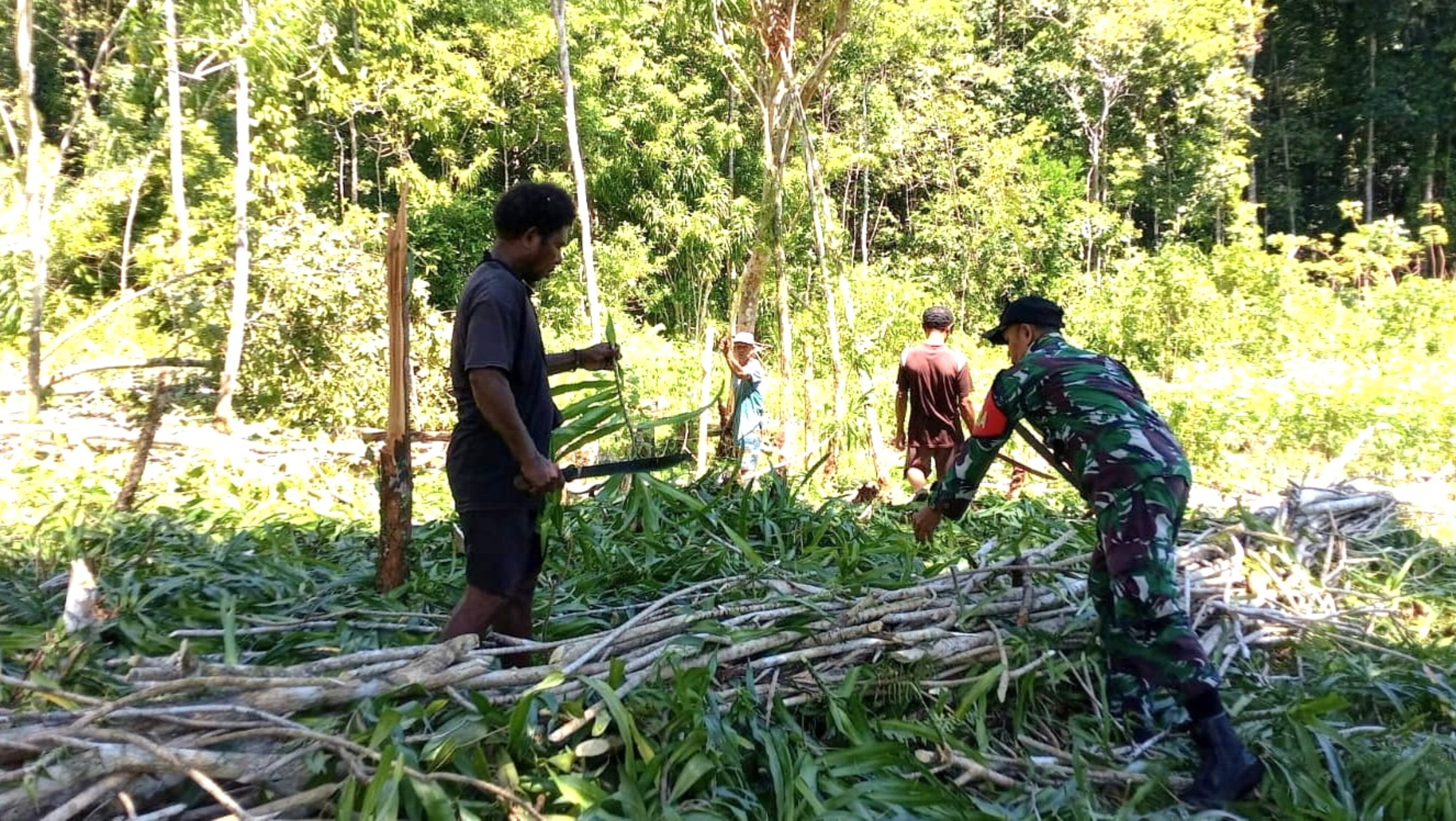 Babinsa Dampingi Warga Buka Lahan Pertanian