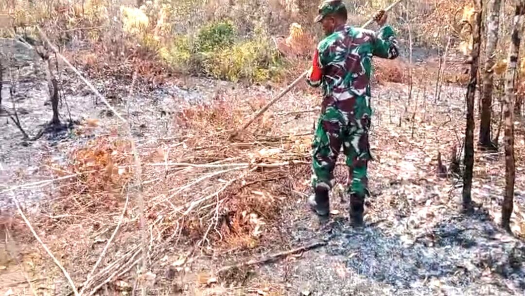 Babinsa Pantau Lokasi Hutan Pasca Kebakaran, Pastikan Tak Ada Titik Api Susulan