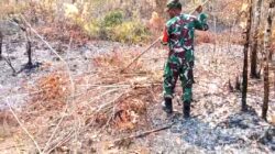 Babinsa Pantau Lokasi Hutan Pasca Kebakaran, Pastikan Tak Ada Titik Api Susulan