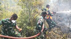 Kodim 1708/BN Kerahkan Damkar Bantu Padamkan Kebakaran Hutan di Biak