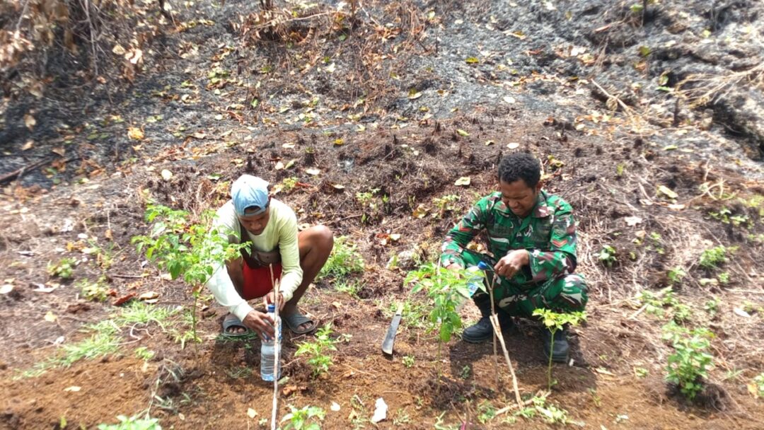Babinsa Berikan Arahan Atasi Kekeringan Lahan Perkebunan Rica Milik Warga Binaan