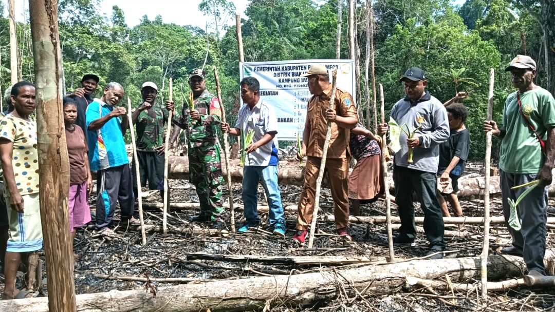 Babinsa Biak Utara Bantu Warga Menanam Keladi di Kampung Korem