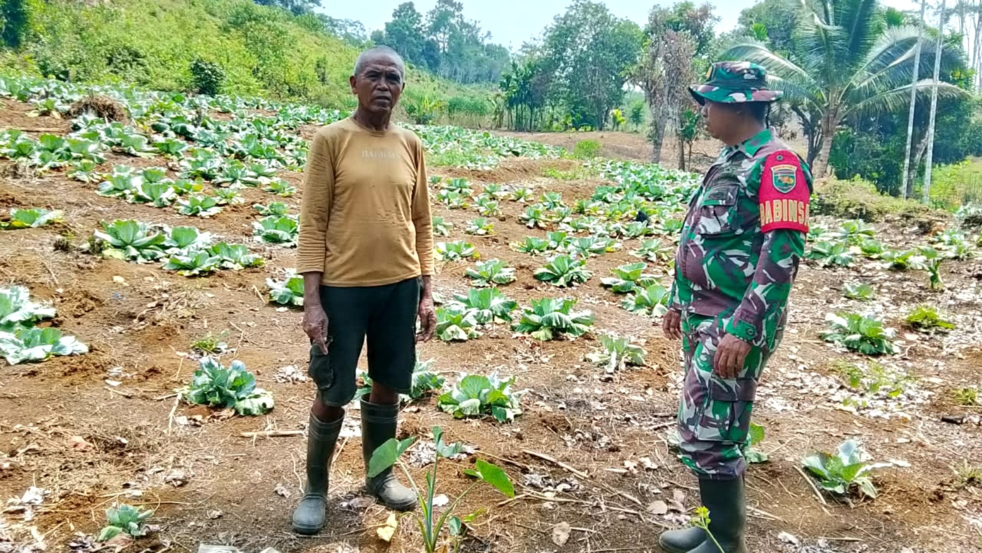 Babinsa Biak Barat Berikan Motivasi kepada Petani di Tengah Kemarau Panjang
