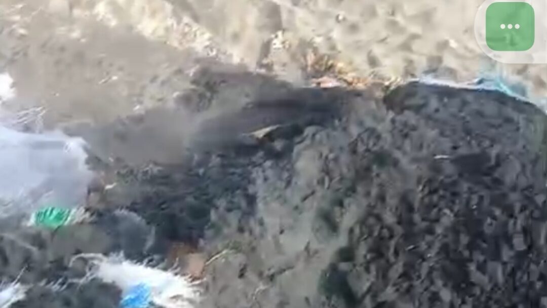 Warga Pergoki Dugaan Pencurian Pasir Laut di Pantai Rambutsiwi Jembrana