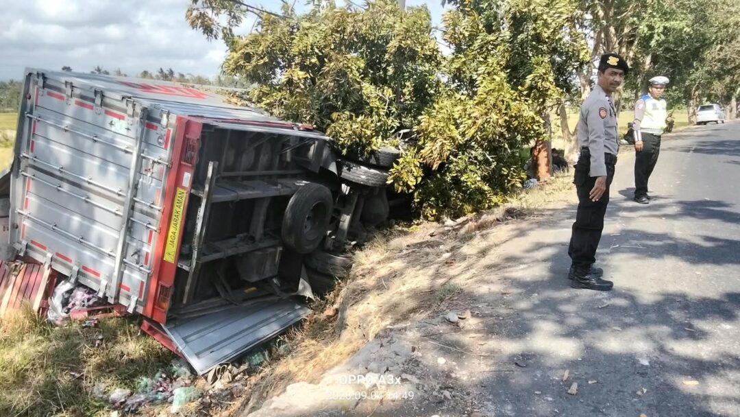 Hilang Kendali di Tikungan Kaliakah, Truk Box Hantam Pohon dan Masuk Parit