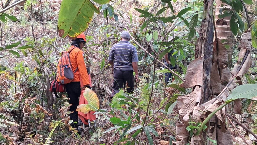Tak Kunjung Kembali dari Ladang, Tim SAR Temukan Kakek 83 Tahun dalam Kondisi Linglung