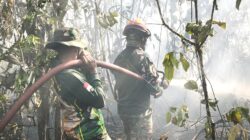 Personel Kodim 1708/BN Padamkan Kebakaran Hutan di Yendidori