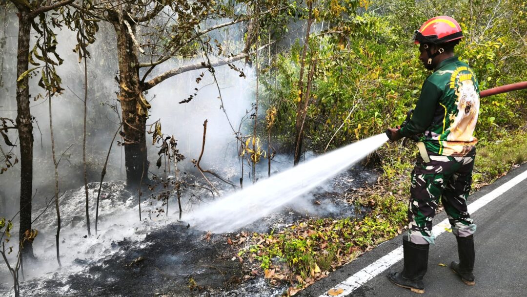 Personel Kodim 1708/BN Bergerak Cepat Padamkan Kebakaran Hutan di Wilayah Distrik Yendidori