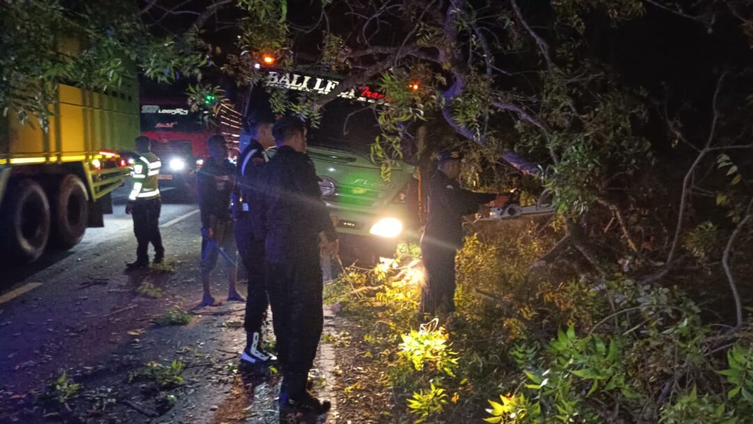 Kaget Dipanggil Saat Antre di Gilimanuk, Sopir Truk Tabrak Pohon