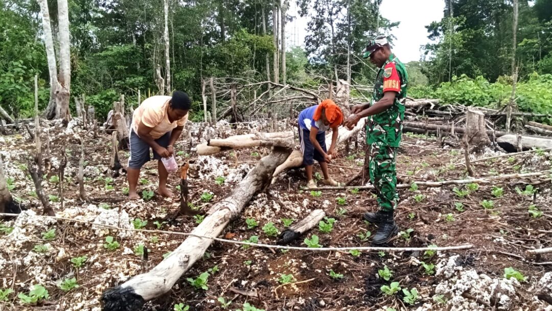 Babinsa Biak Utara Komsos dan Berikan Motivasi kepada Petani di Kampung Warbon