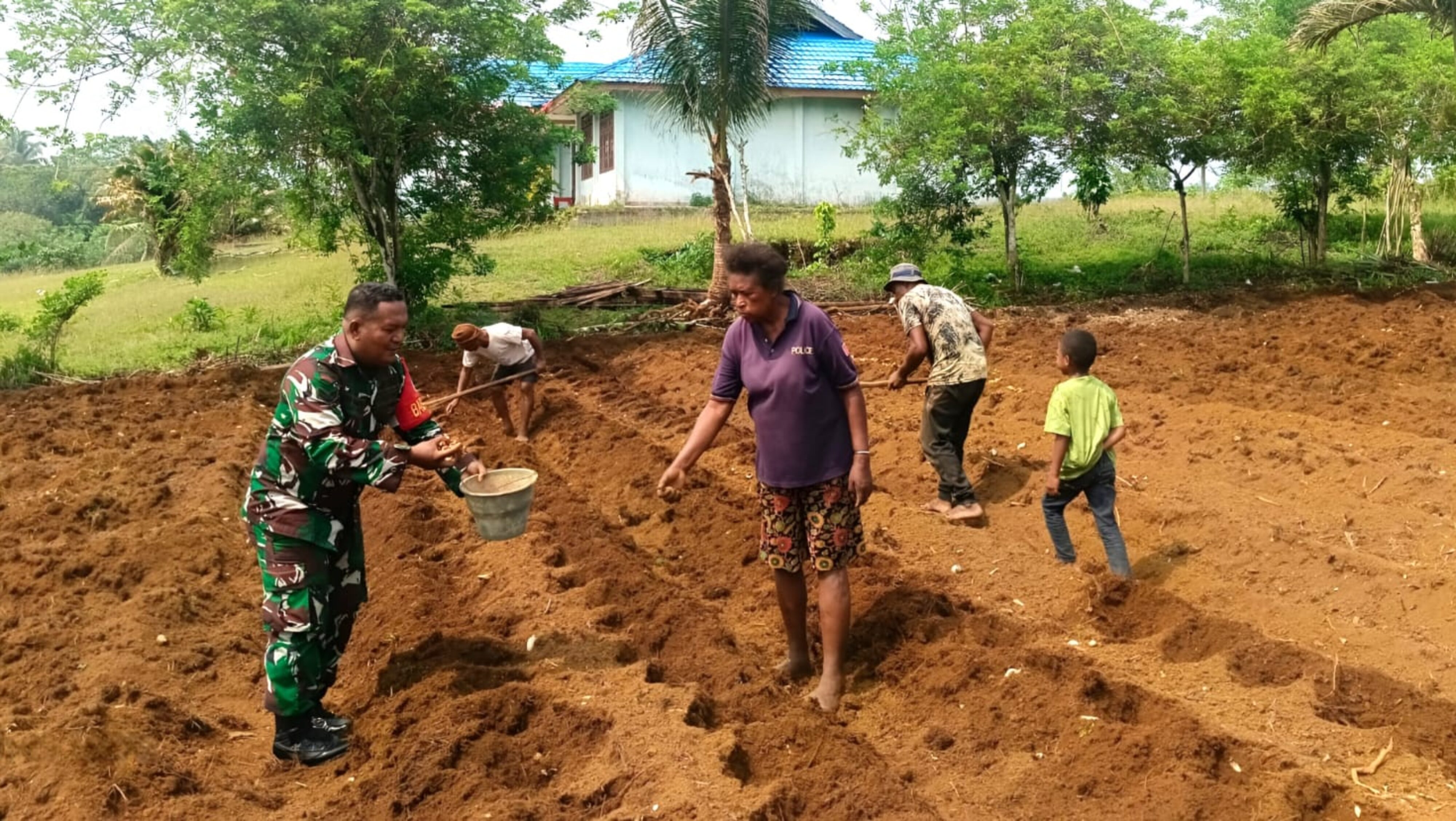 Babinsa Koramil Biak Utara Bantu Warga Tanam Jahe di Kampung Sarwom