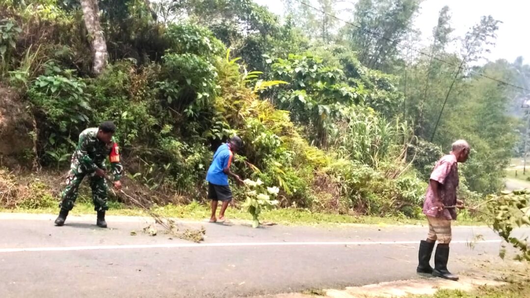 Babinsa Biak Utara Bersama Aparat dan Bamuskam Gelar Membersihkan Jalan Kampung Nermnu