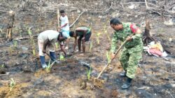 Babinsa Biak Barat Bantu Warga Menanam Keladi dan Kangkung